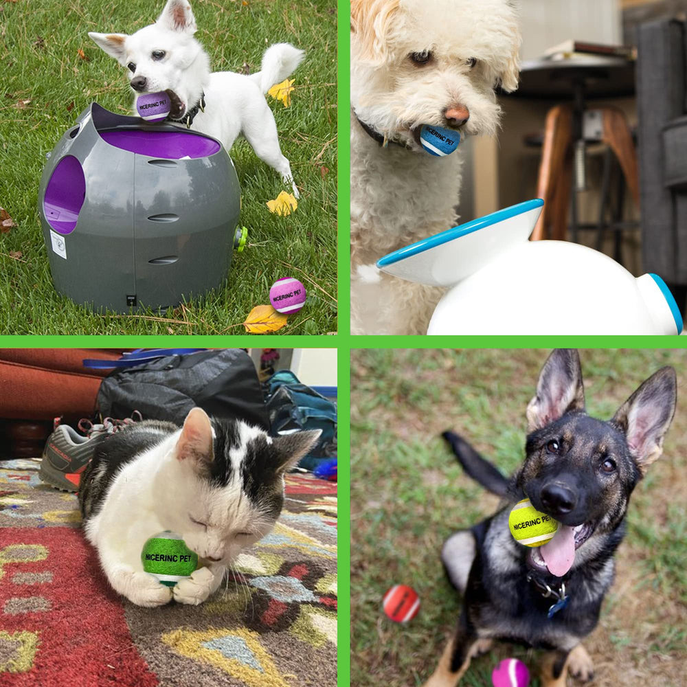 NICERINC PET bright-colored balls boost visibility indoors and outdoors
