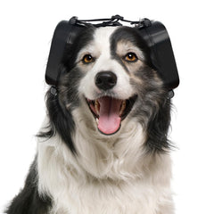 NICERINC PET dog ear muffs boxed for easy storage during trips