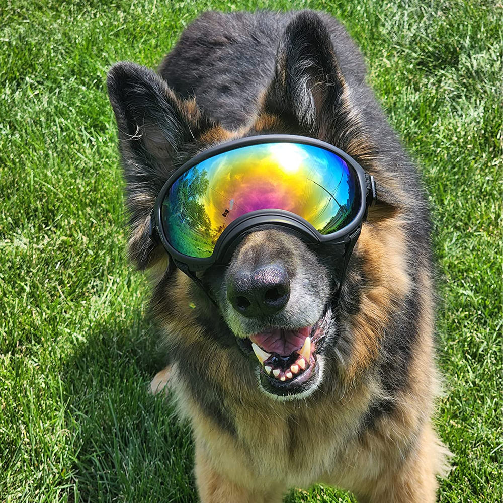NICERINC PET large dog sunglasses ideal for sunny walks and car rides.