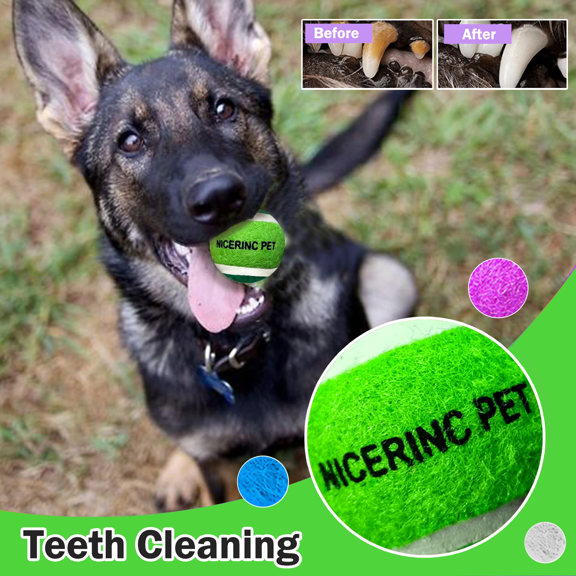 NICERINC PET fits many automatic ball launchers for convenient play sessions