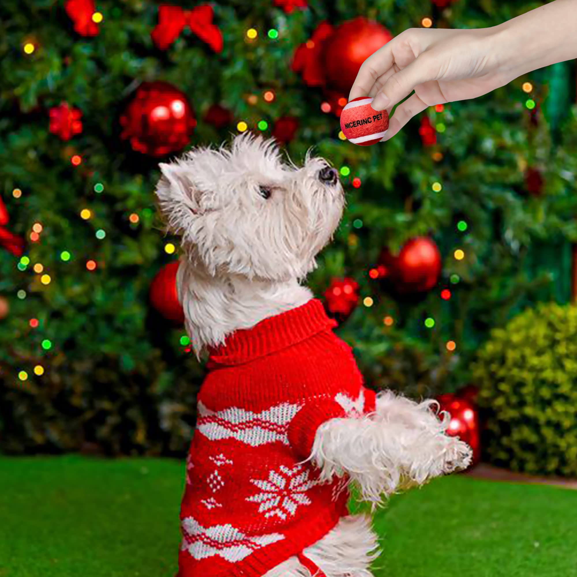NICERINC PET pack of 12 mini balls provides reliable fetch replacements