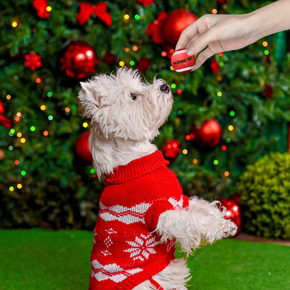 NICERINC PET pack of 12 mini balls provides reliable fetch replacements