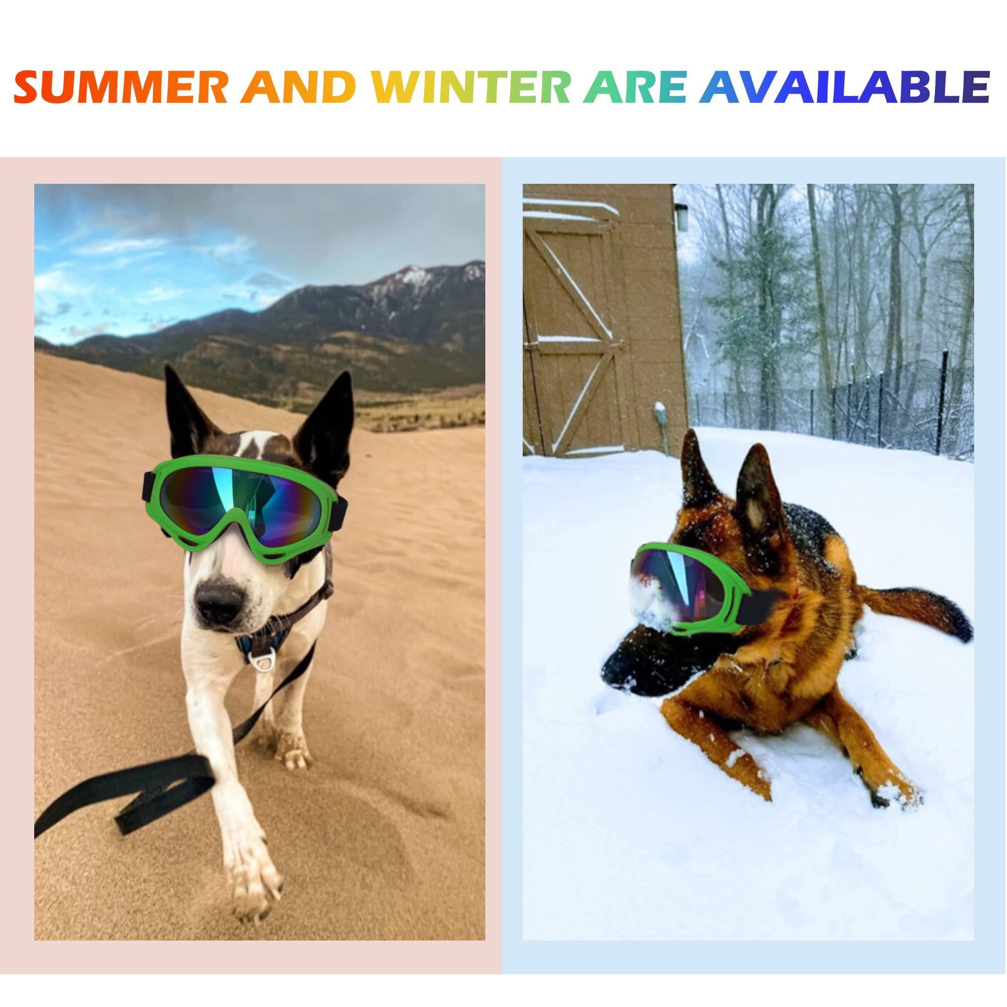 Nicerinc Pet gift-ready packaging makes a thoughtful present for dog lovers.