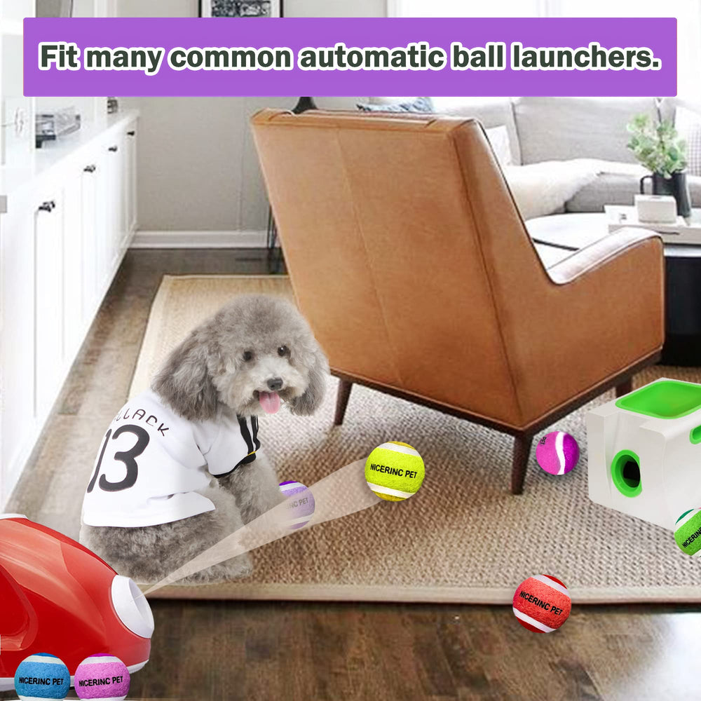 NICERINC PET nonabrasive felt keeps play gentle on little dogs' teeth