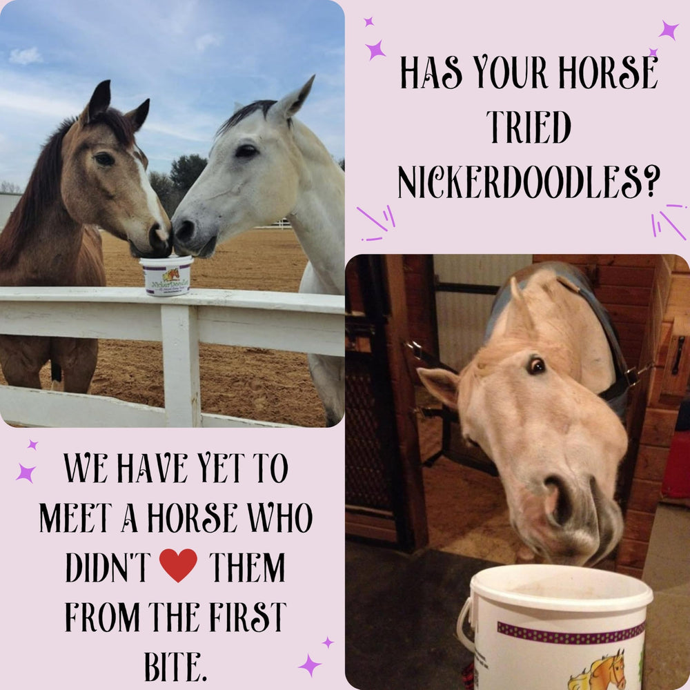 NickerDoodles veterinarian approved, trusted option for horse care routines.