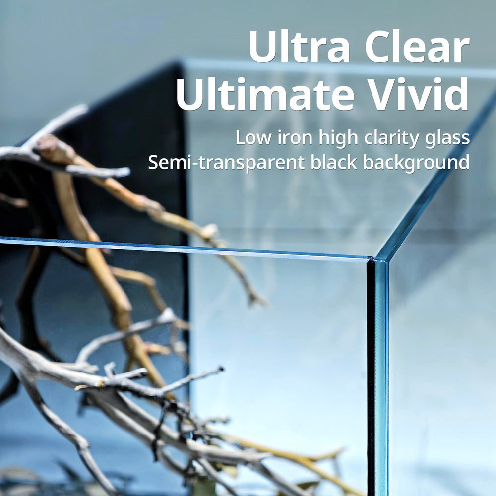 NICREW rimless-design close-up shows unobstructed viewing of aquatic life.