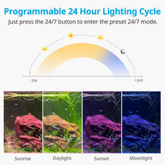 NICREW C10 full-spectrum LEDs close-up highlighting vivid colors and 90 CRI.
