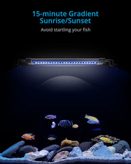 NICREW ClassicLED Gen 2 LED spectrum shows white and blue mix for plant growth and color.