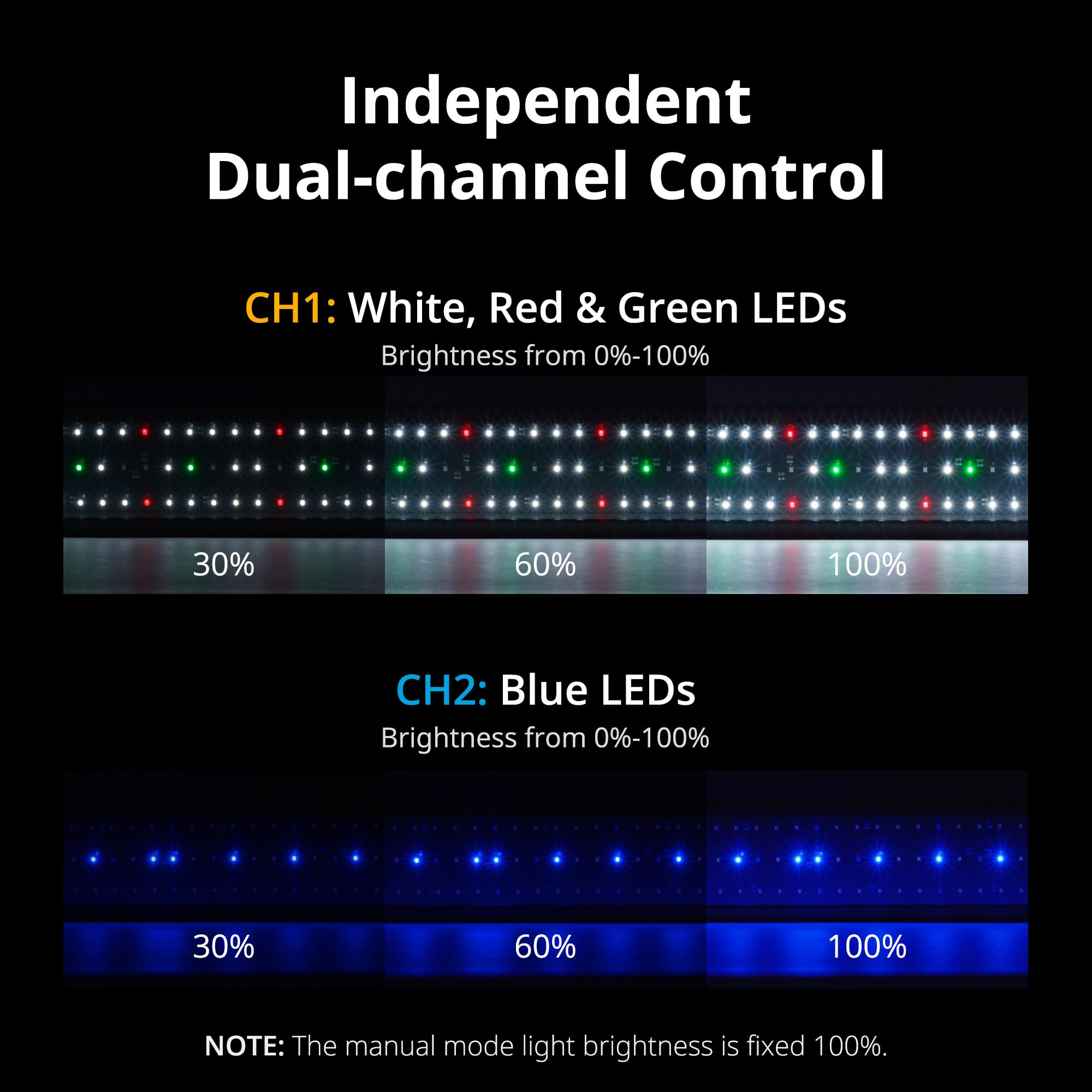 NICREW Classicled Plus spectrum detail with balanced white, blue, red, and green LEDs.