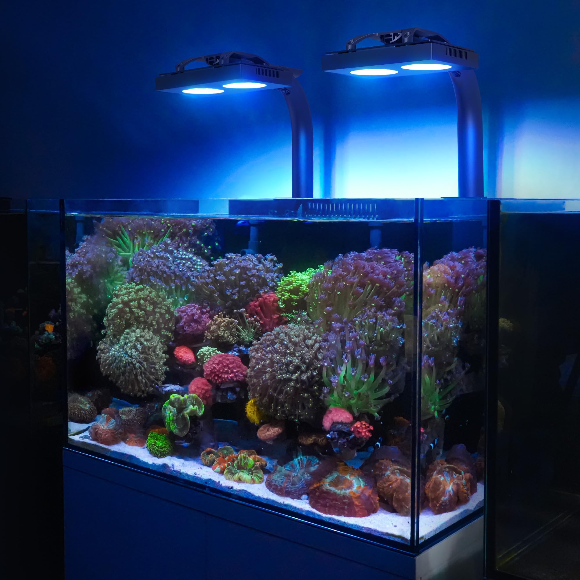 NICREW HyperReef 100 Gen 2 100W output powers lively saltwater tanks