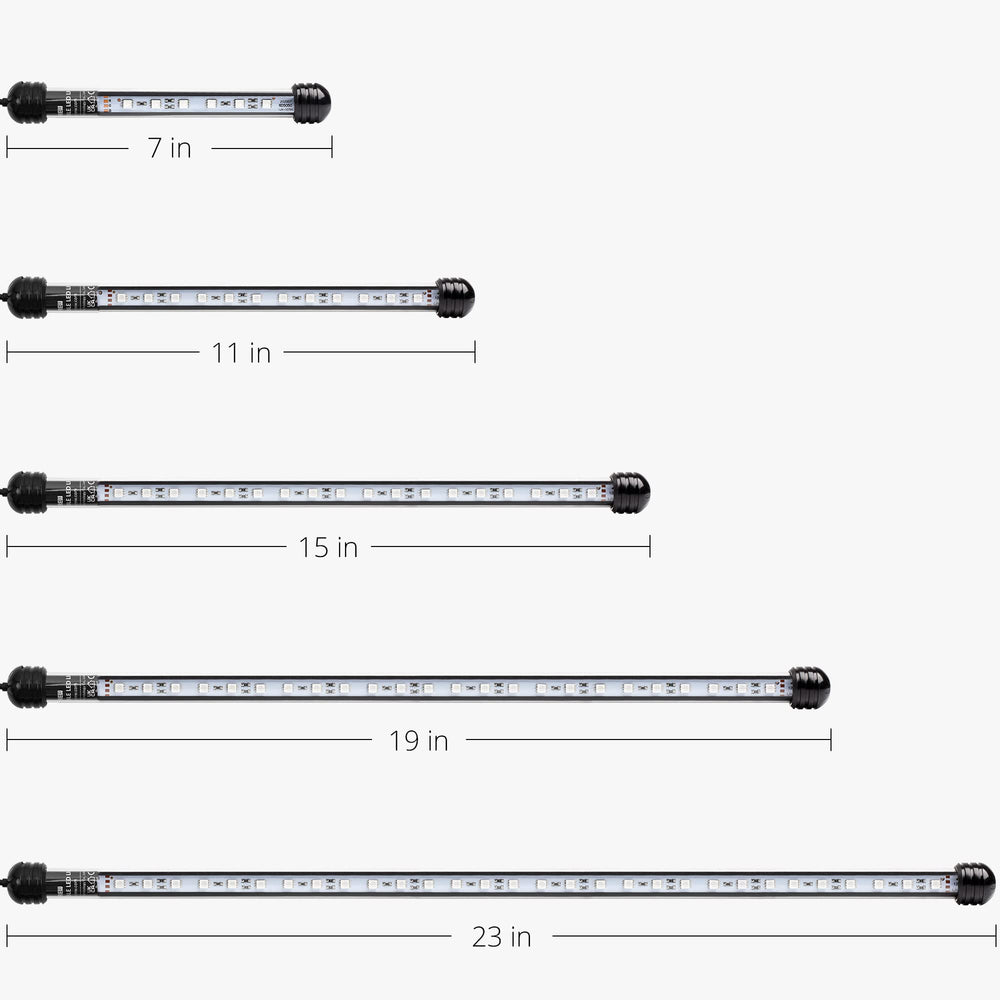 NICREW LED Aquarium Light suction-cups secure mounting with stable underwater illumination.