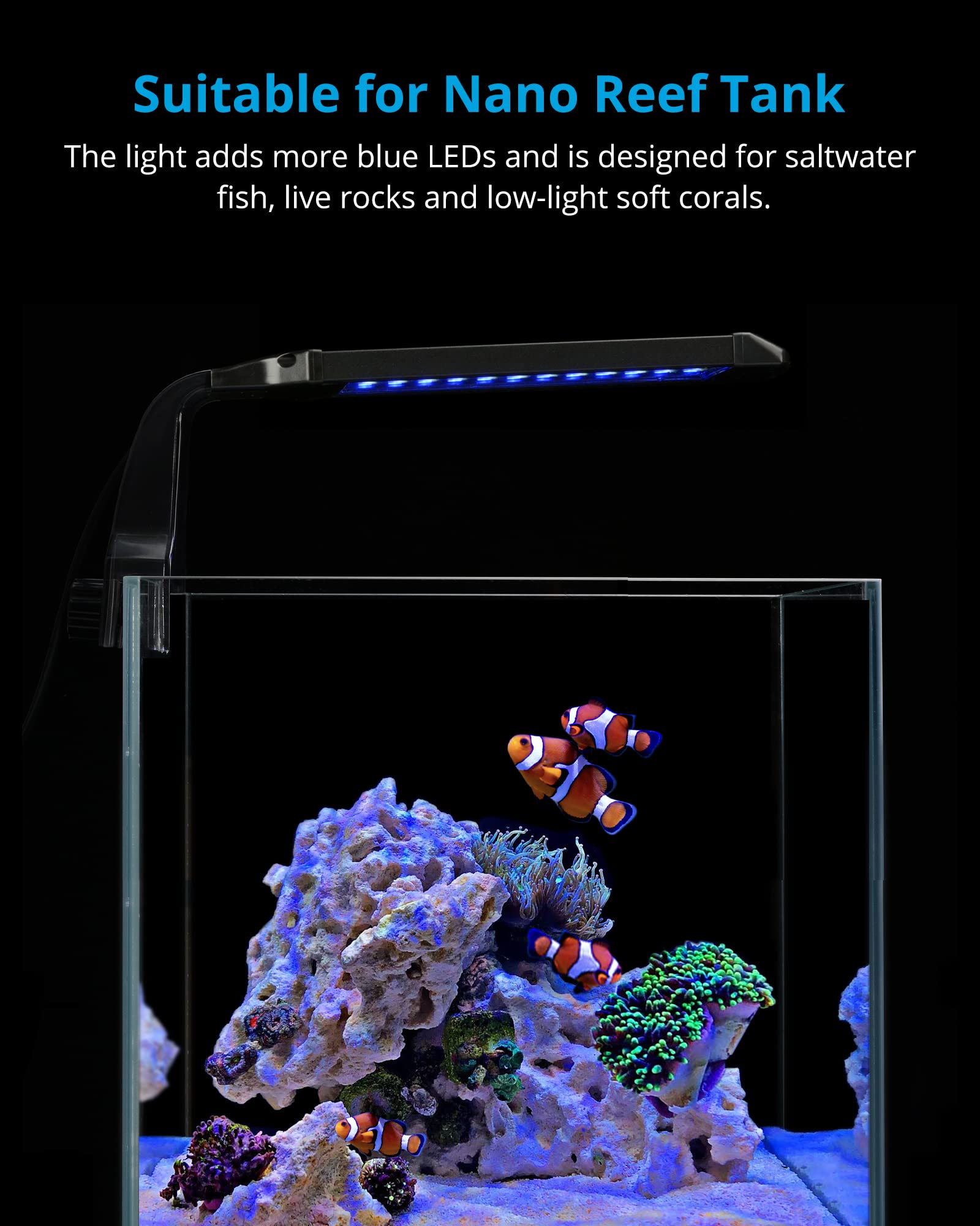 NICREW Marine clip-on light with LCD timer display for easy scheduling