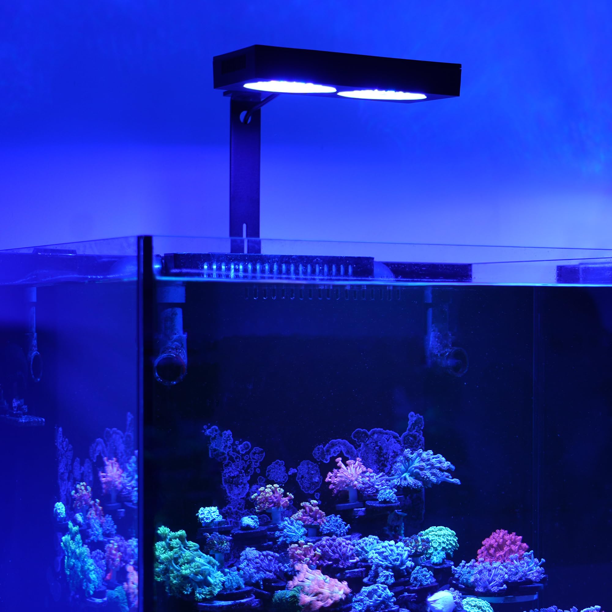 NICREW NavaReef 135W LED light with removable dust mesh for easy maintenance