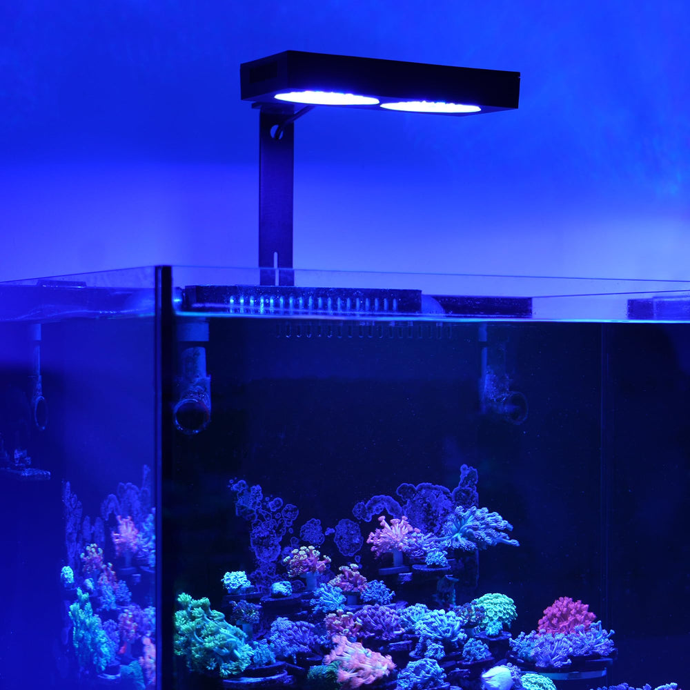 NICREW NavaReef 135W LED light with removable dust mesh for easy maintenance