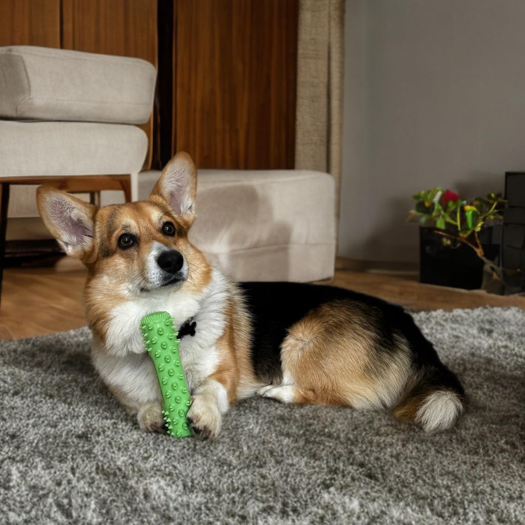 Nikki and Max soft-rubber bristles provide gentle massage while cleaning gums