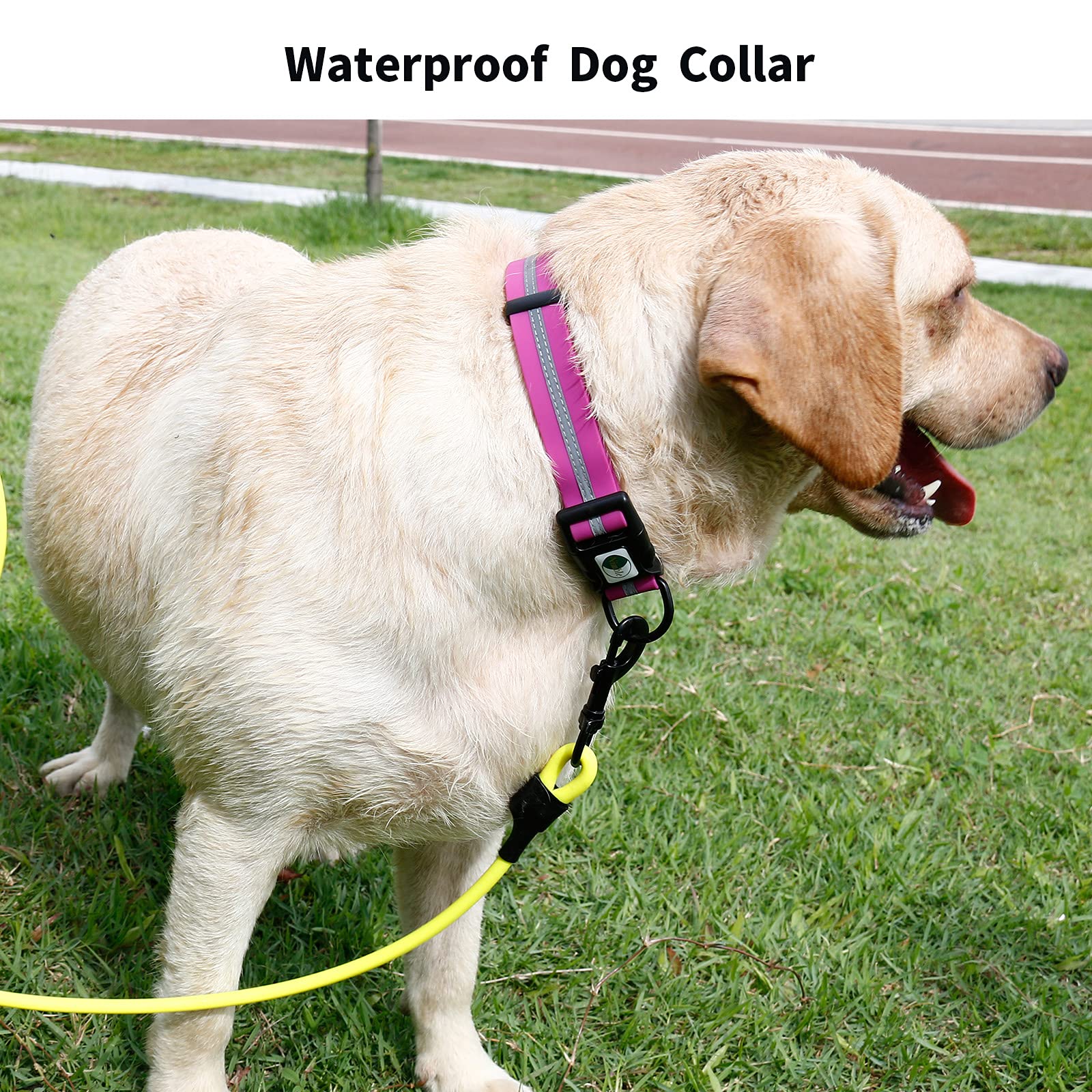 NIMBLE dog collar color-varieties highlights multiple colors for personal style and safety.