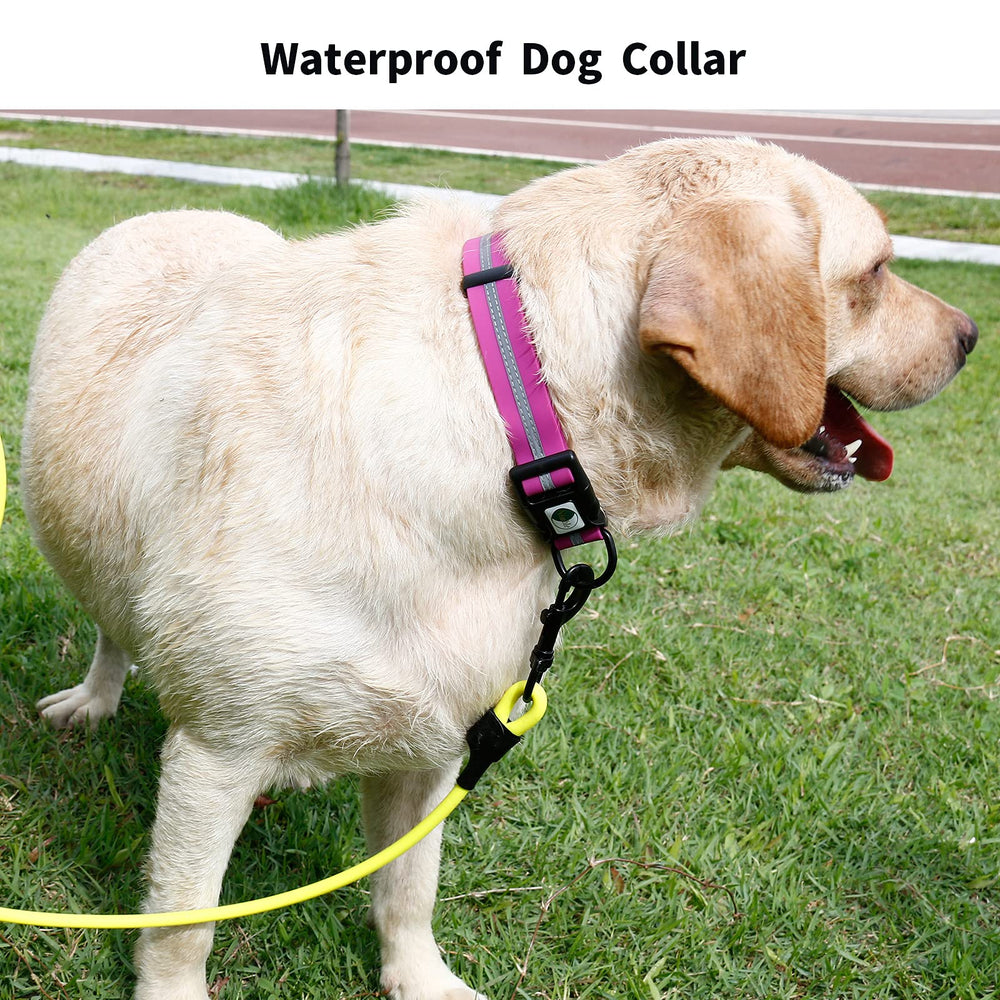 NIMBLE dog collar color-varieties highlights multiple colors for personal style and safety.