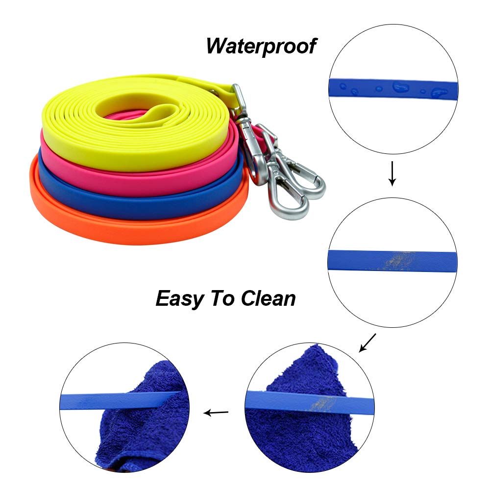 NIMBLE waterproof leash at the beach ready for water and sand play