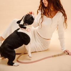 Nina Woof European design emphasizes chic aesthetics for fashion-forward dogs and owners.