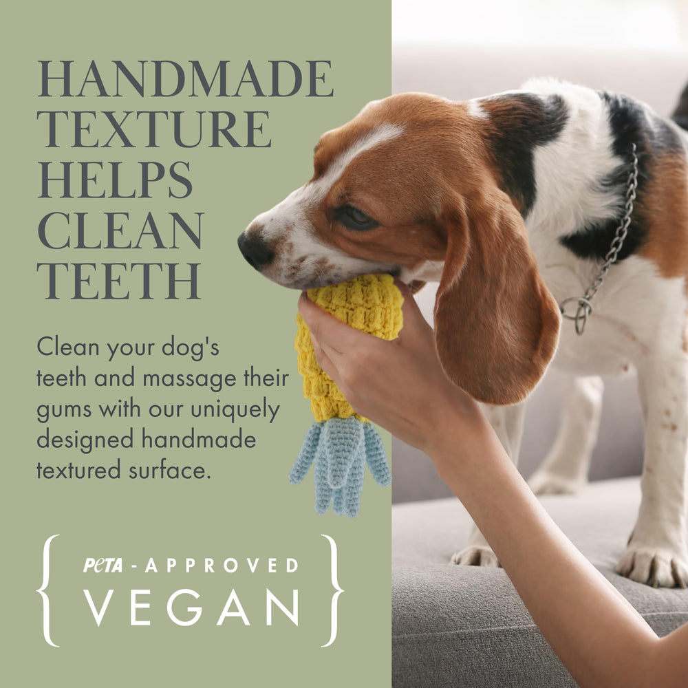 Nina Woof gift-ready set for pet lovers with eco-friendly and aesthetic design.
