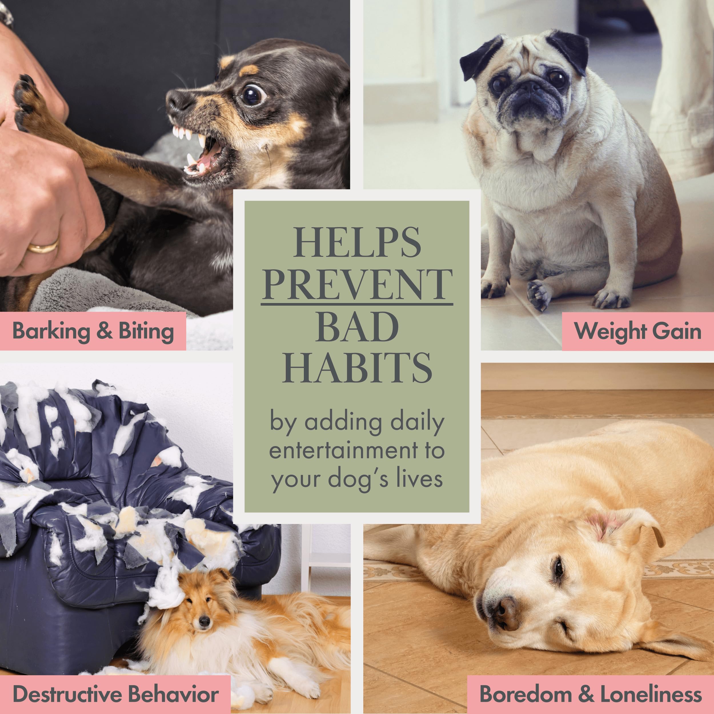 Nina Woof non-toxic materials emphasize safe chew time and responsible pet parenting.