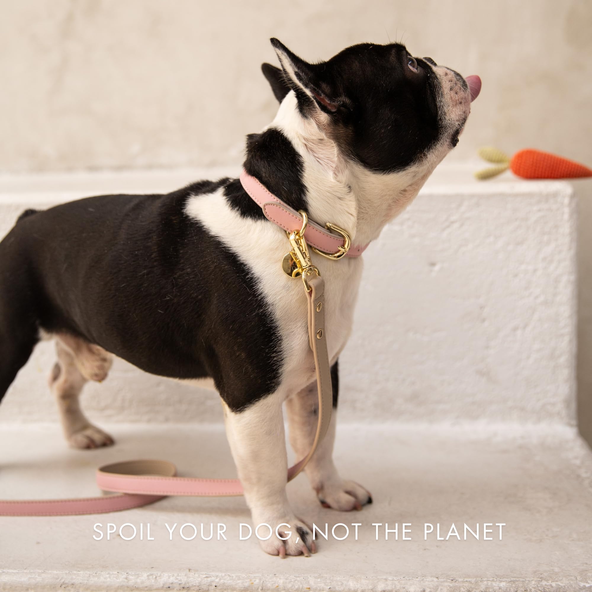 Nina Woof reinforced hardware closeup highlights secure grip during long neighborhood strolls.