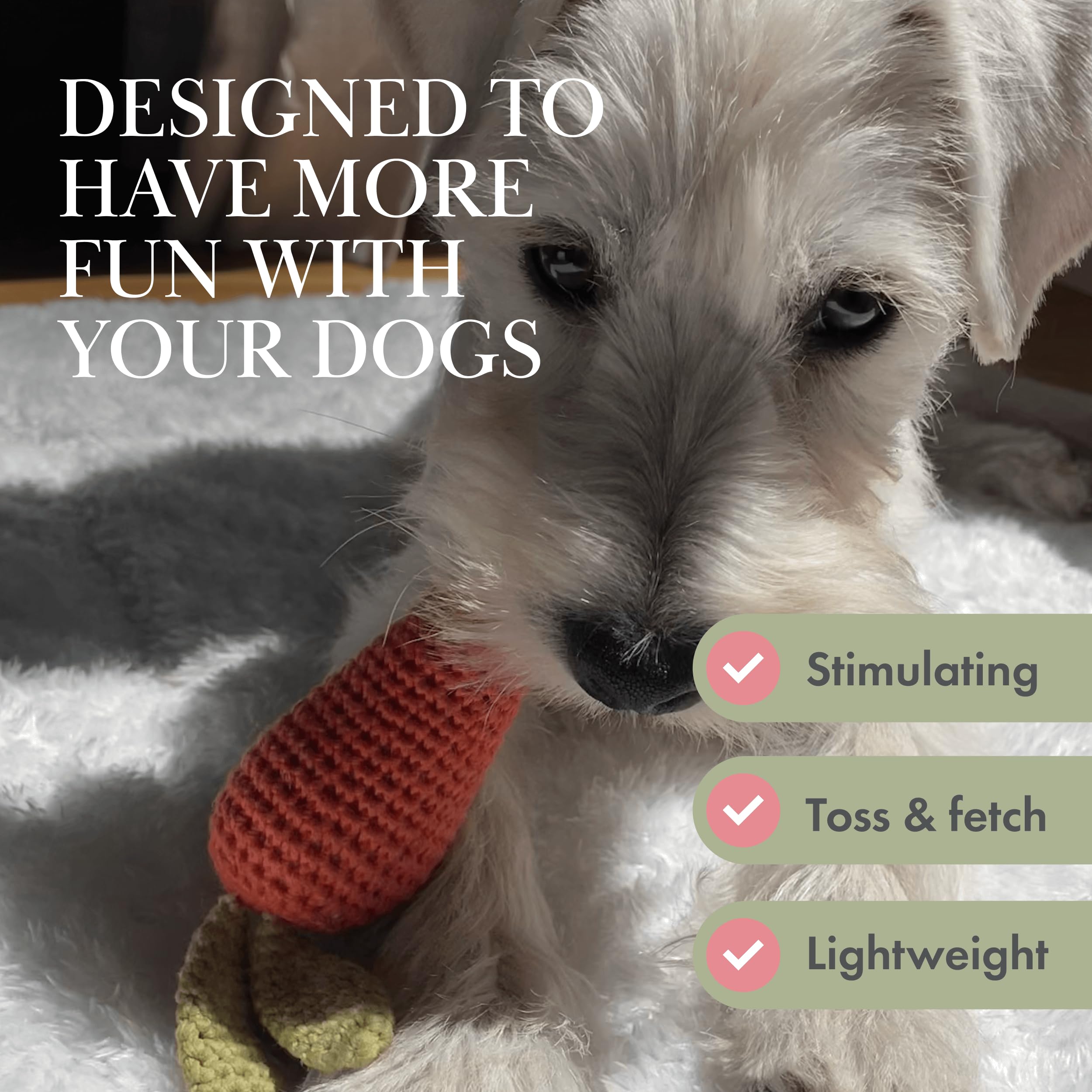 Nina Woof designs sized for small and medium dogs for safe, enjoyable play.