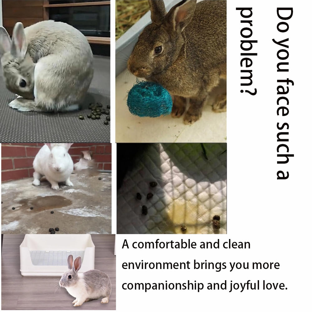 NINGVIHE extra-large footprint fits one or two pets.