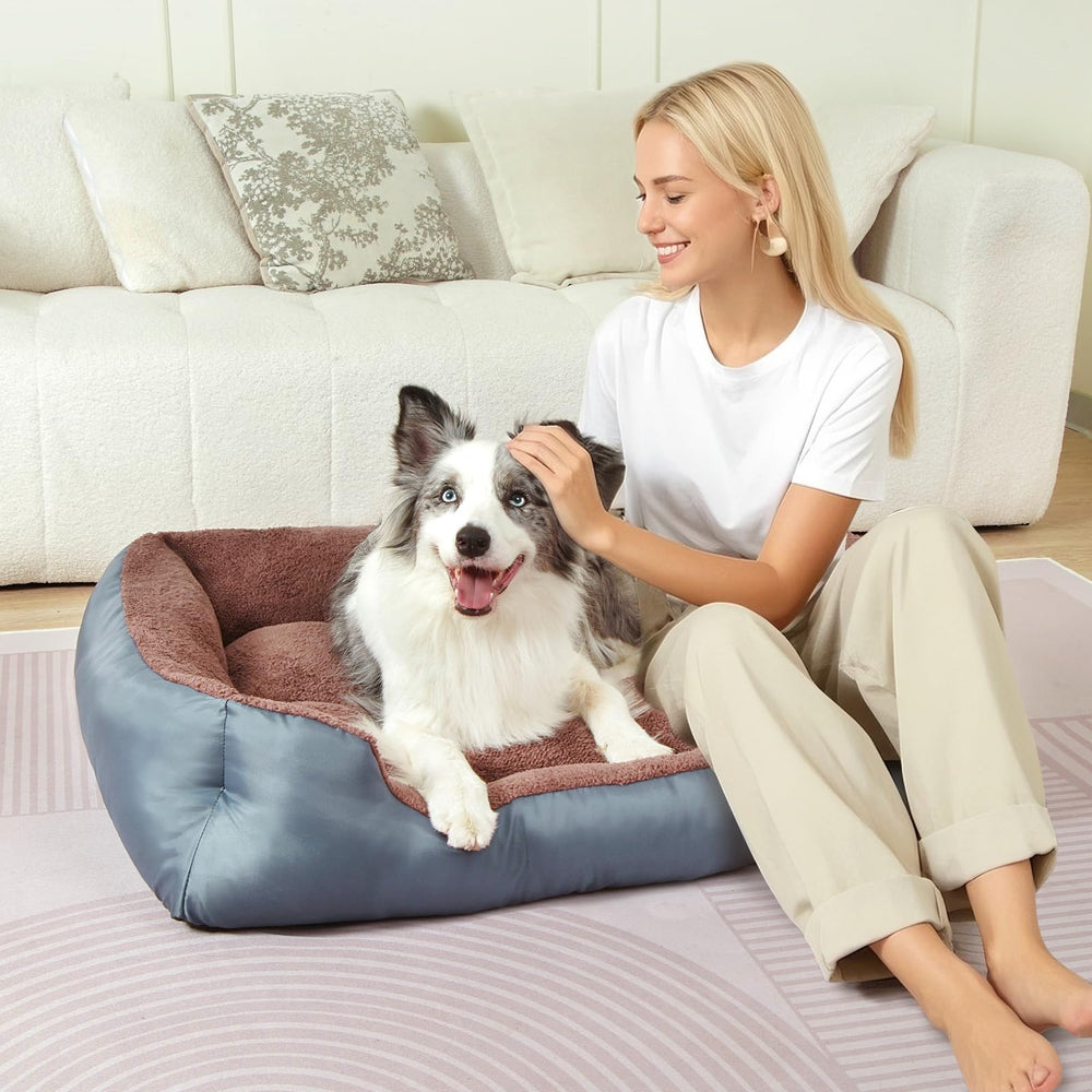 NIRDOG bed low front edge for easy pet access