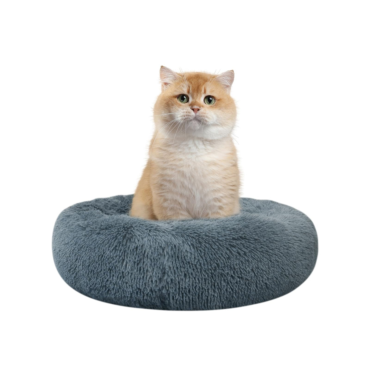 Cama Nisrada para gatos con borde elevado para mayor seguridad.