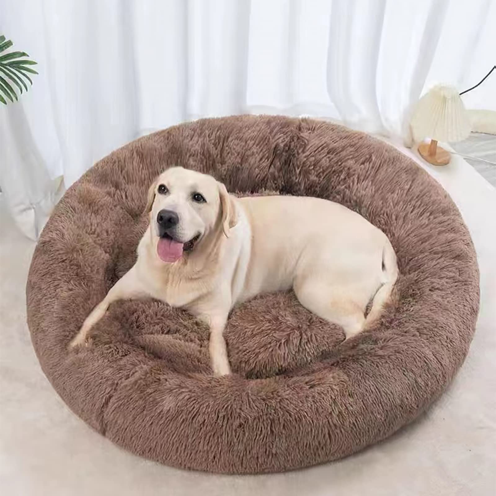 Nisrada bed ready for car travel as a portable pet bed.