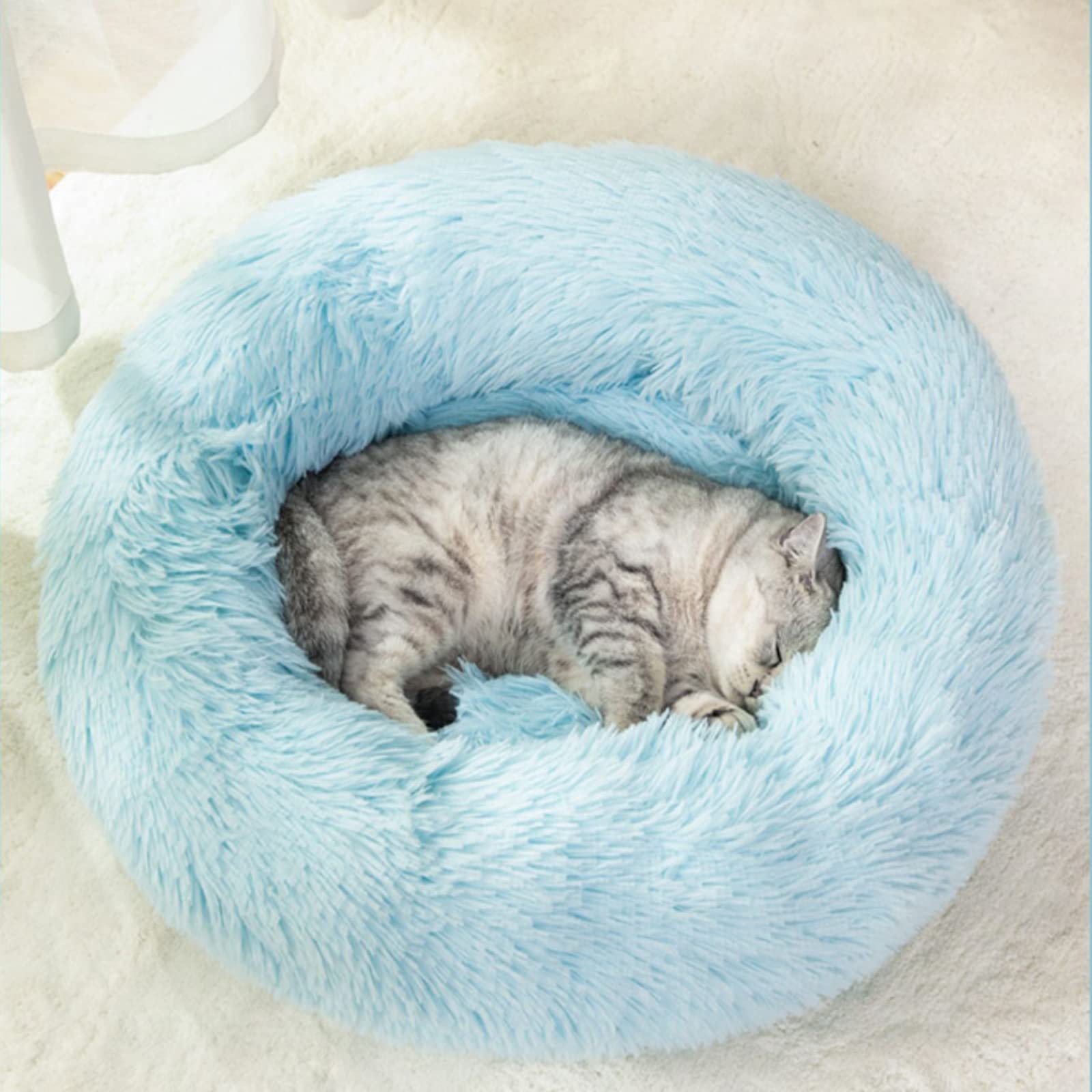 Nisrada easy-clean bed machine-washable on gentle cycle.