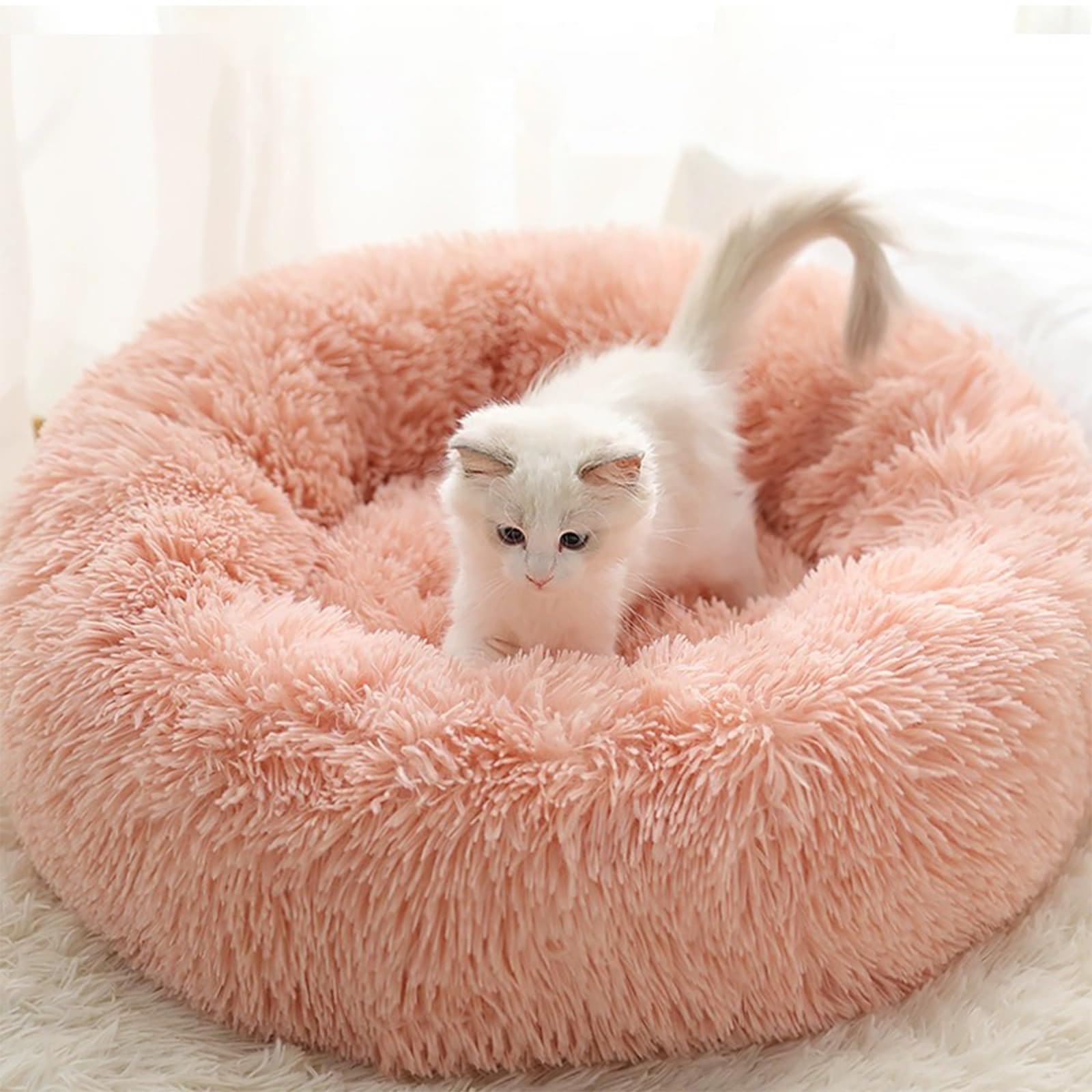Nisrada round pet bed in living room offers cozy, secure space for indoor cats and small dogs.