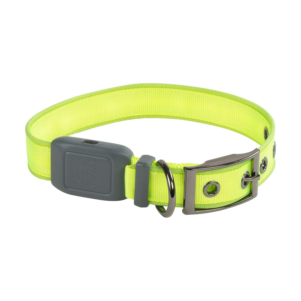 NiteDog 360-degree visibility lime collar boosts nighttime awareness.