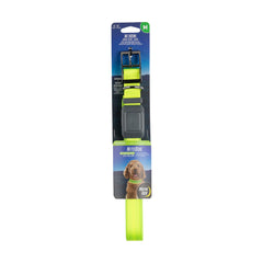 NiteDog LED collar in lime glows for safer night walks.