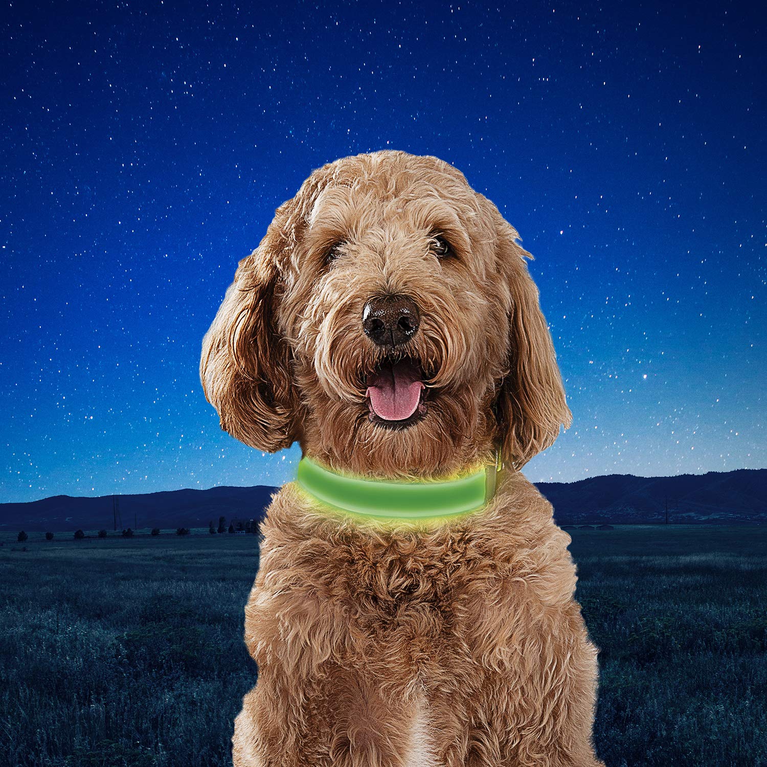 NiteDog lime collar charging time illustration for quick top-ups.