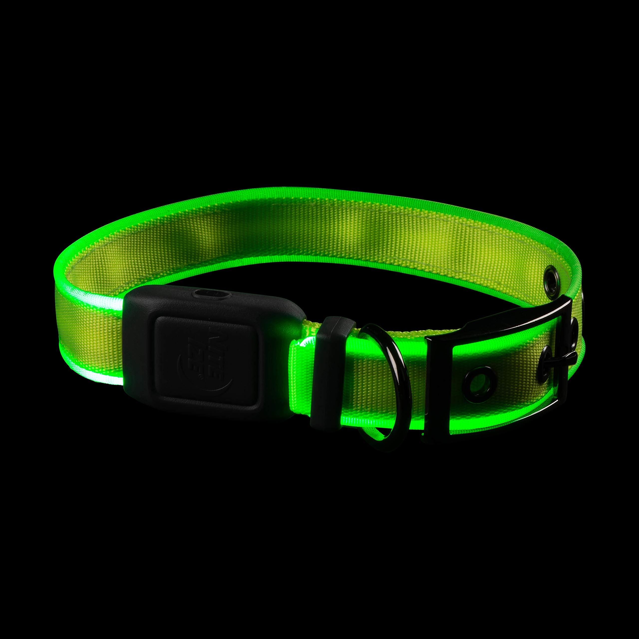 Water-resistant NiteDog lime collar shines through rain and splashes.