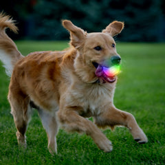 GlowStreak Wild LED Ball powered by replaceable CR2032 batteries for extended play