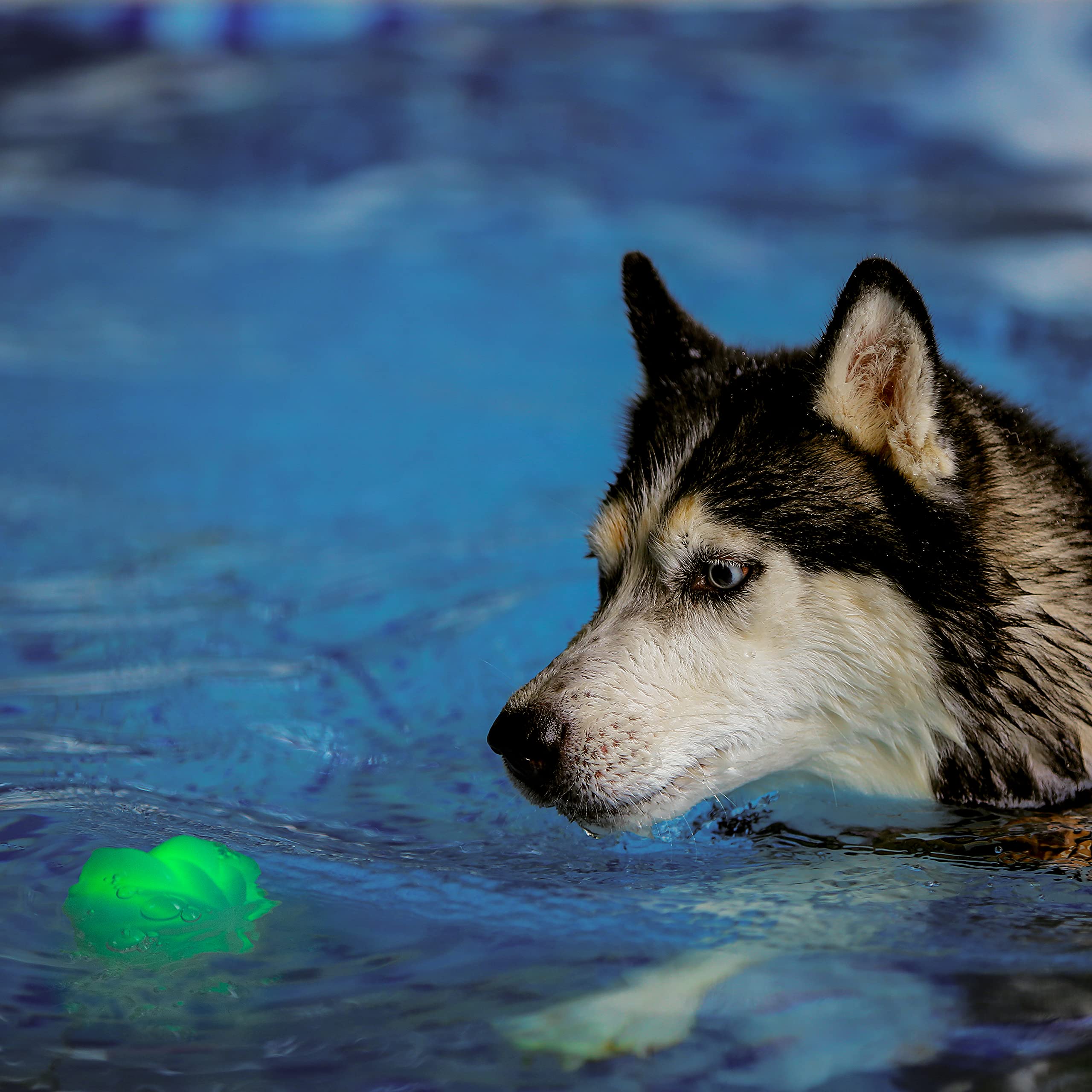 GlowStreak Wild LED Ball is bite-friendly and waterproof for rugged outdoor action