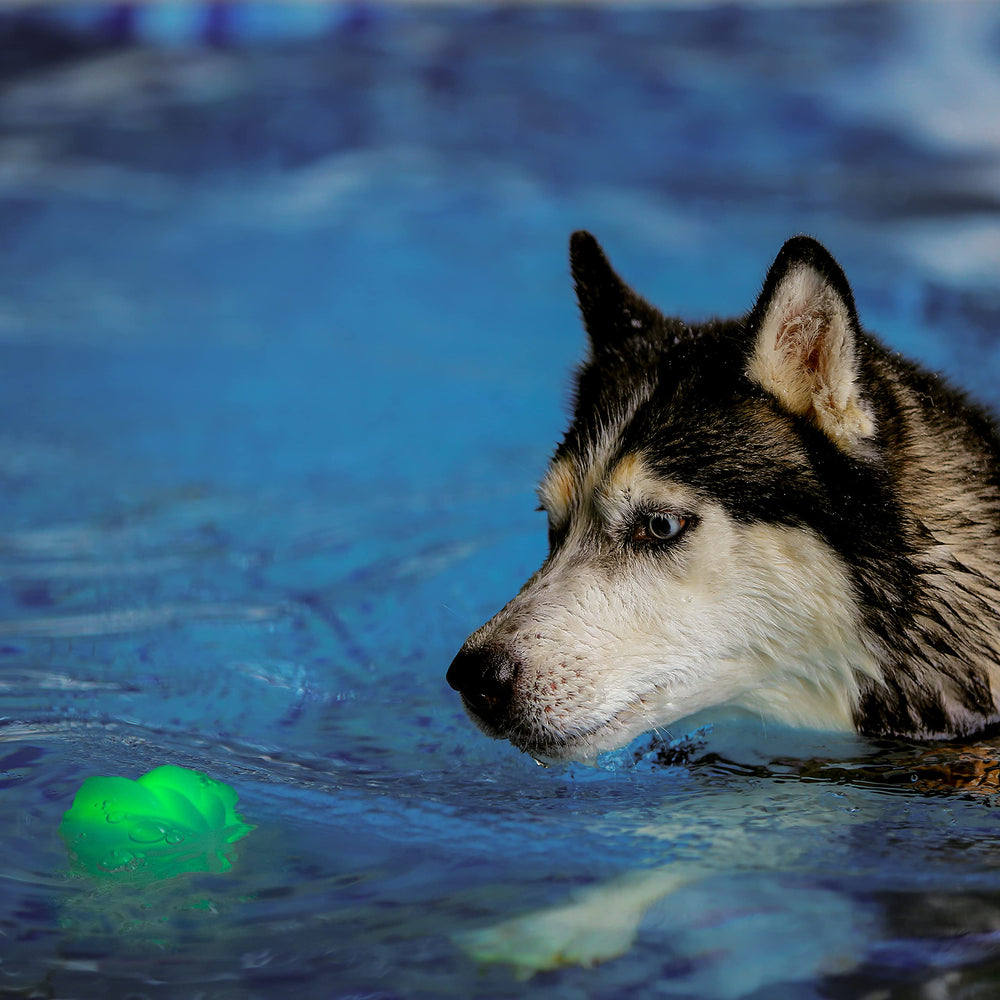 GlowStreak Wild LED Ball is bite-friendly and waterproof for rugged outdoor action