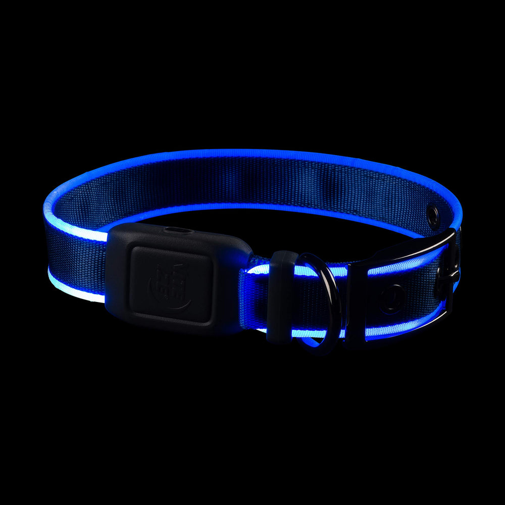 Nite Ize NiteDog collar features a durable metal buckle for easy, secure adjustments.
