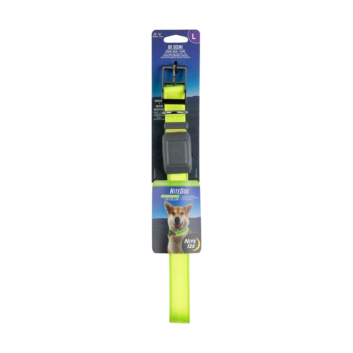 NiteDog con LED 360 para paseos nocturnos seguros