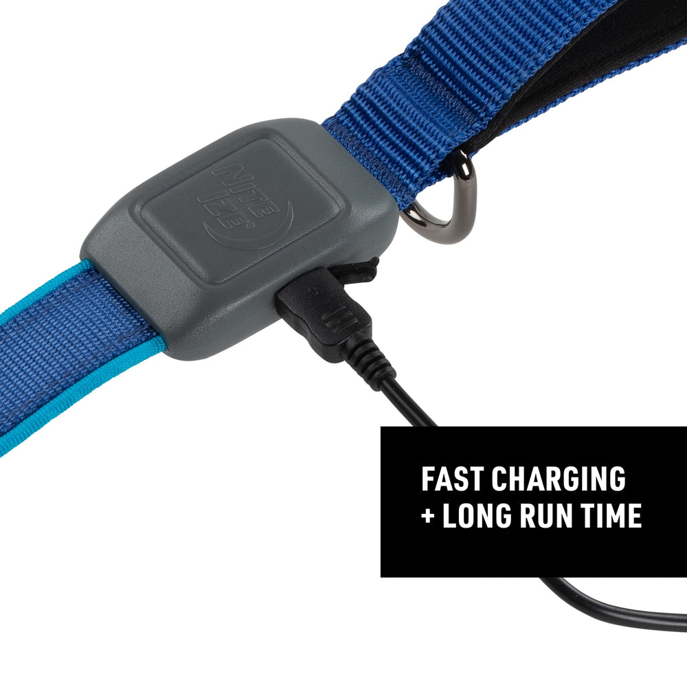 NiteDog brushed metal clip securing leash attachment for reliable dog-walking.