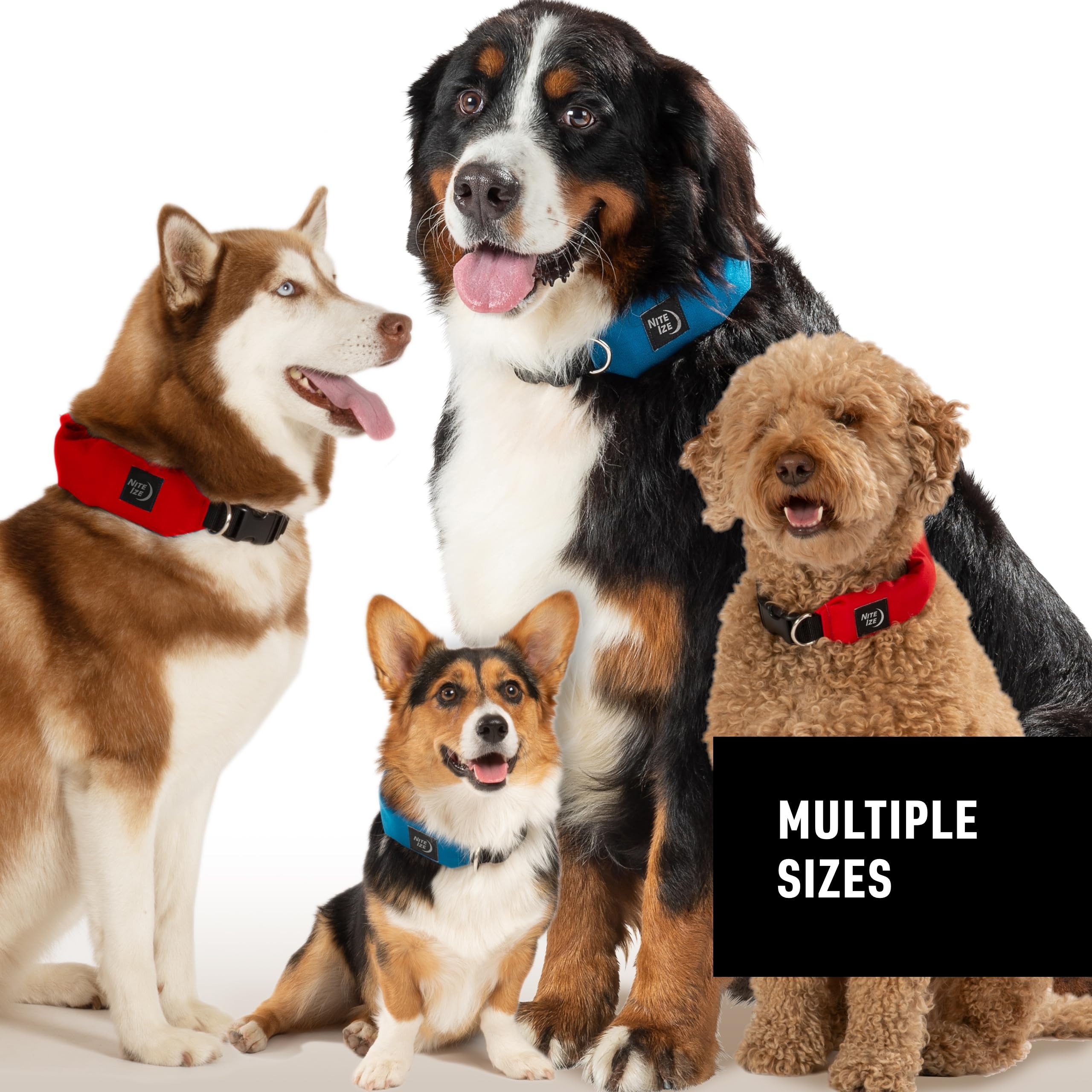 Nite Ize Raddog blue guaranteed: backed by Worry Free Guarantee for peace of mind.