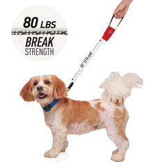 Nite Ize RadDog durable hardware offers secure attachment during outdoor strolls