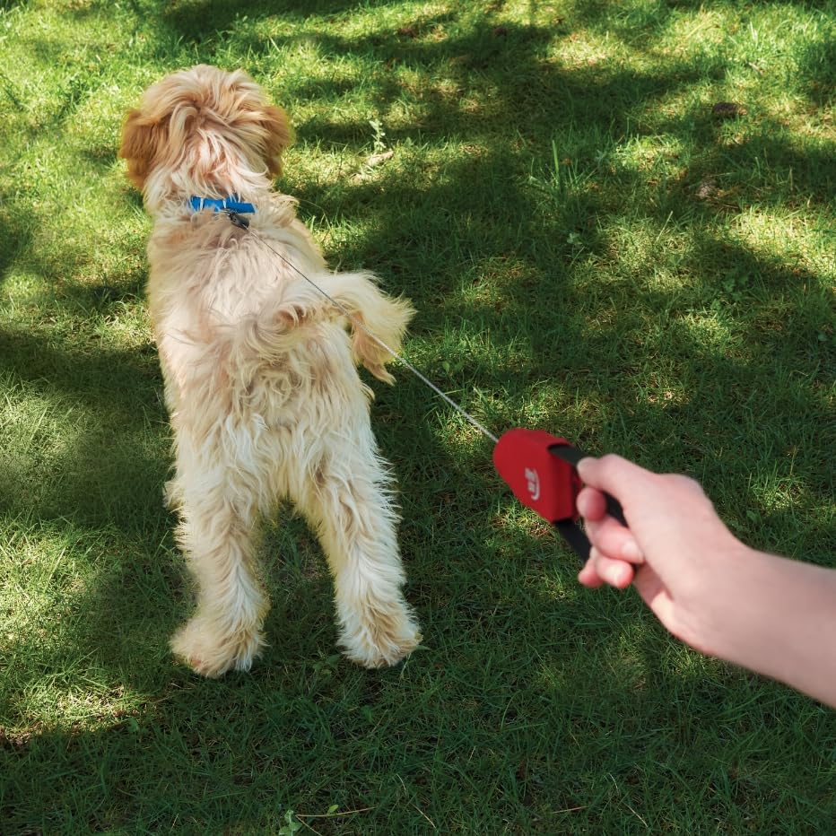 Nite Ize RadDog quick-clip attachment demonstrates easy leash-dog transitions