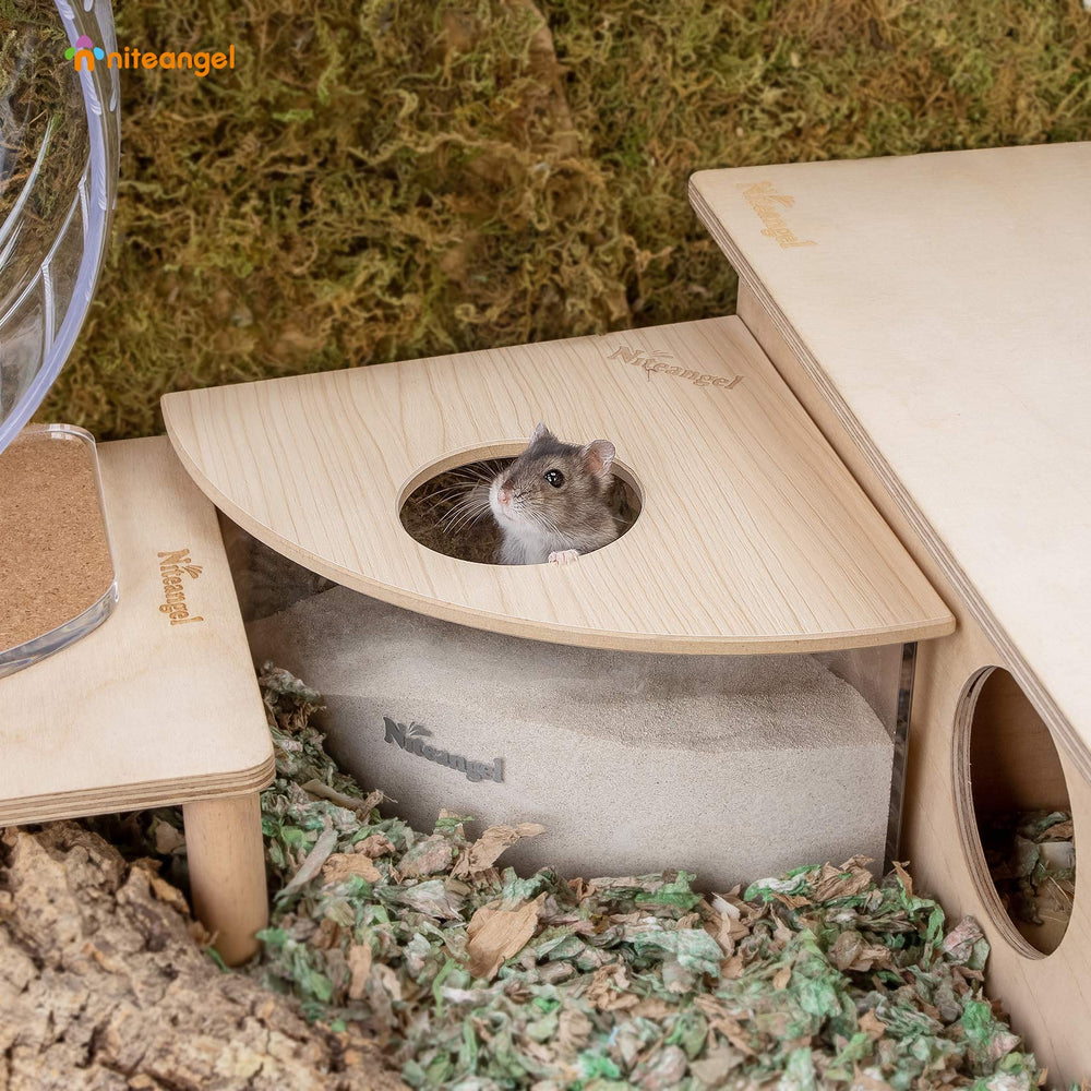 Niteangel sand-bath box acrylic clear view highlights curious pets' digging and bathing moments