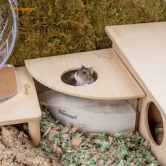 Niteangel sand-bath box acrylic clear view highlights curious pets' digging and bathing moments
