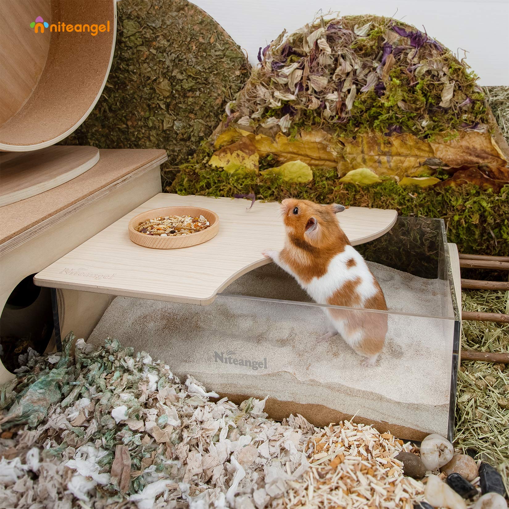 Niteangel Animal Sand-Bath Box half-lid removable aids sand containment during play.