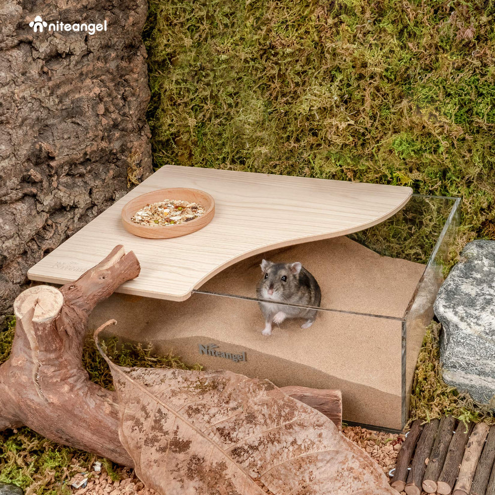 Niteangel Animal Sand-Bath Box rectangle inside view highlights clear acrylic visibility for watching pets.